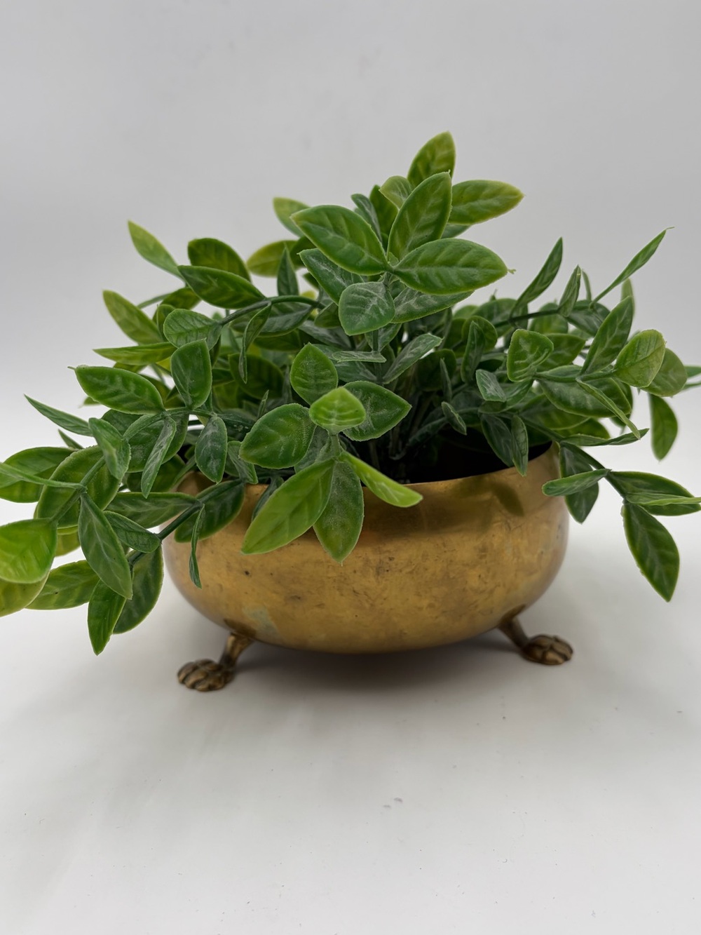 Vintage Brass Footed Bowl with Lion Paw Feet